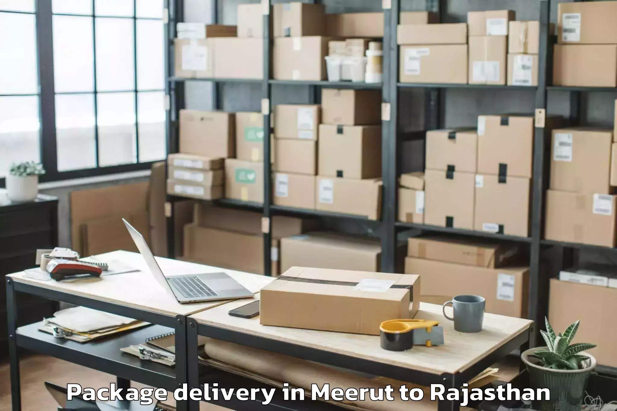 Easy Meerut to Peepalkhoont Package Delivery Booking